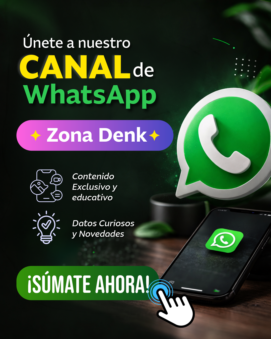 Canal WhatsApp Denk
